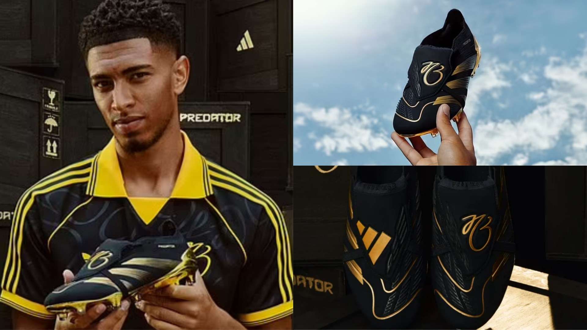 从而提高他 从而提高他