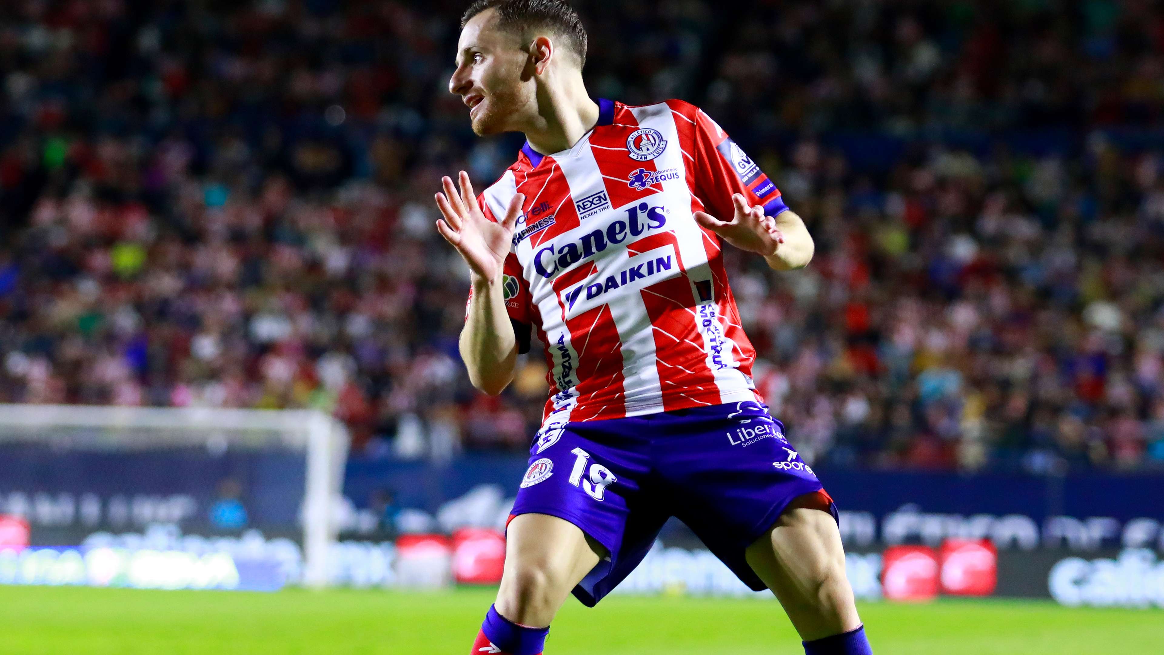 的非凡表現 的非凡表現