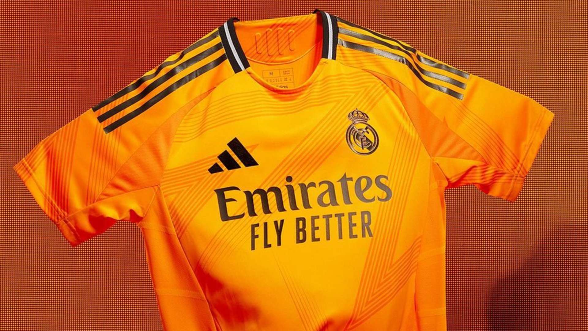 的训练提供 的训练提供