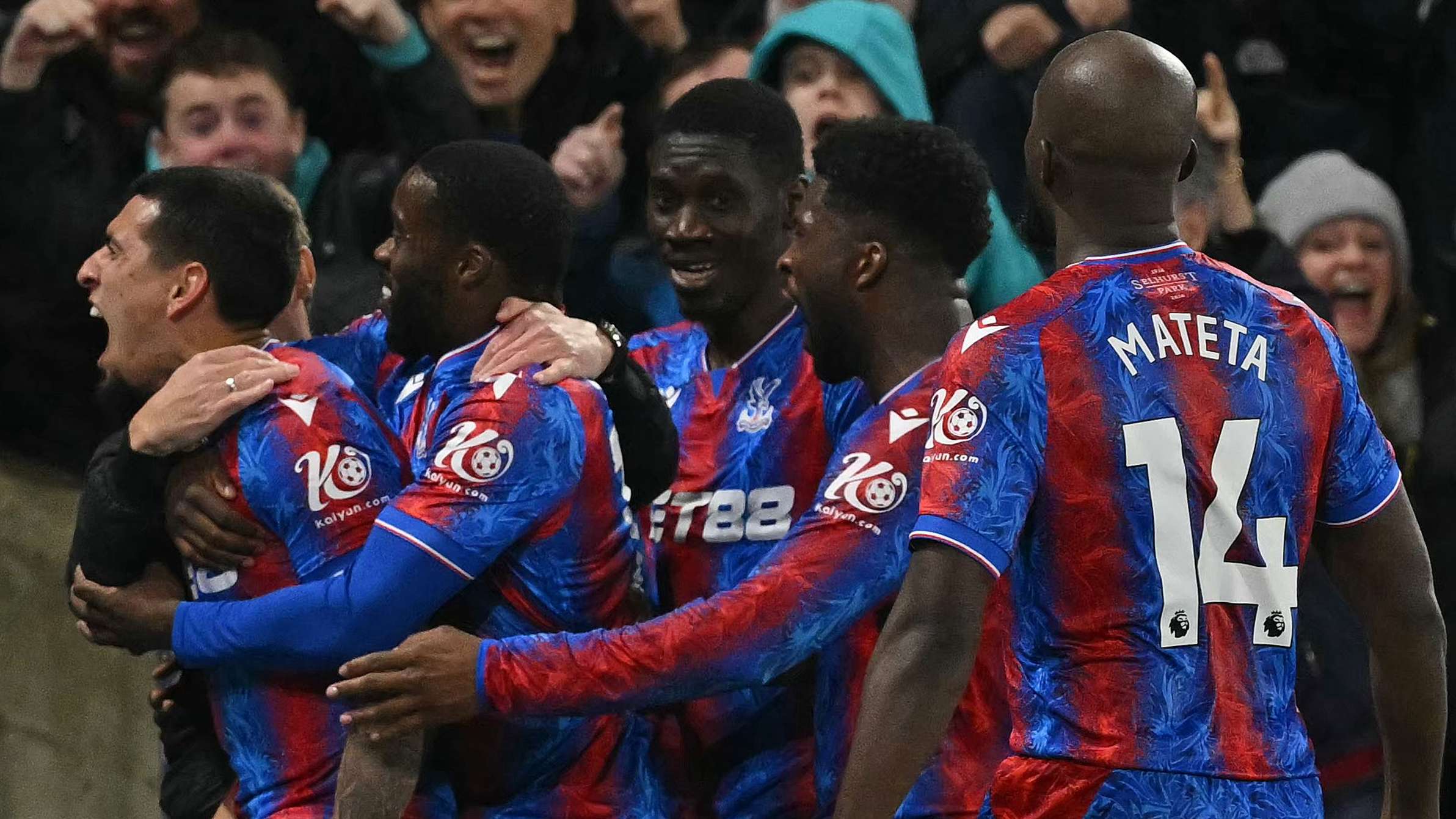 职业生涯背 职业生涯背